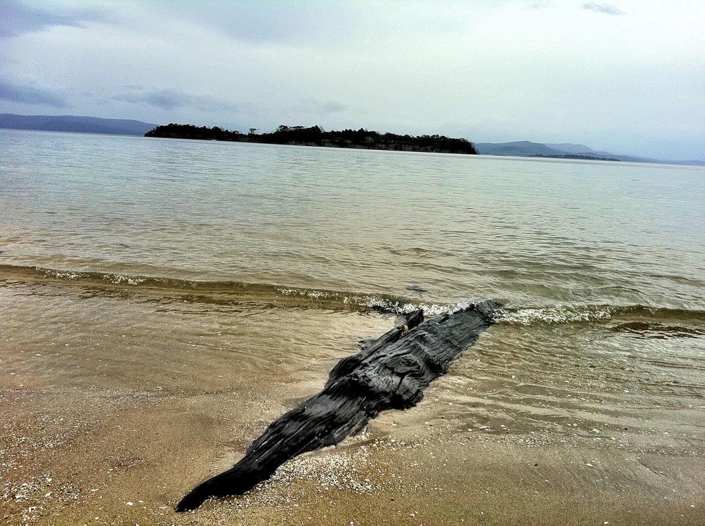 Discover Bruny Island Holiday Accommodation Alonnah Exterior foto