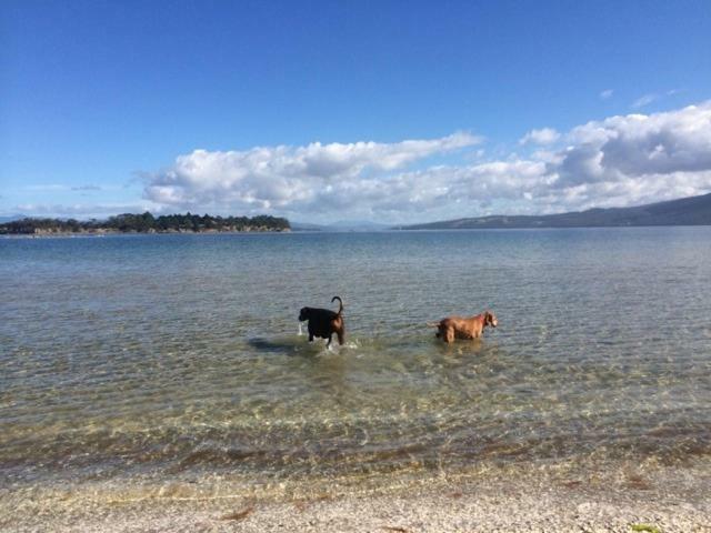 Discover Bruny Island Holiday Accommodation Alonnah Exterior foto